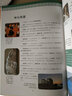 后浪漫系列：漫画神话：奥德赛 实拍图