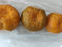 香山电子秤商用电子台秤 厨房秤高精度克称菜秤计数秤计价食物秤超市市场台秤30kg LCD黑字【室内外通用】 实拍图
