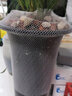 华香园 绿植花卉 兰花专用盆 透气兰花盆 塑料花盆 塑料兰花盆 大号 10个 实拍图