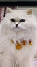 洛马斯宠物猫咪项圈小狗狗长命锁项链小猫铃铛无声颈饰脖子吊坠新年饰品 招财纳福+长命富贵锁 S-适合脖围18-28CM(建议5-10斤) 实拍图