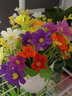 仿真花套装假花摆件塑料花含塑料花瓶干花花束仿真植物盆景绢花客厅阳台餐桌装饰花盆栽 混色跳兰菊+中号仿瓷瓶套装 实拍图