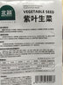 北蔬 紫生菜种子种苗红叶生菜速生耐热四季菜种籽 紫叶生菜种子2000粒 实拍图