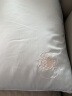 罗莱儿童（luolaikids）A类天丝棉单人上层100%蚕丝低枕头芯蓝 实拍图