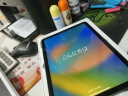 Apple苹果 iPad Air4 第四代平板 10.9英寸 ipad平板 官翻平板电脑 深空灰【评价有礼】 256G WiFi版 未激活+店保一年 晒单实拍图