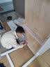 风叶青青北欧实木书桌椅套装可升降小学生学习桌写字桌卧室家用办公电脑桌 实木书桌+B款扶手椅（白色） 120cm*60cm*75cm双抽屉 实拍图