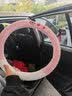丽卡尼汽车方向盘套冬季毛绒女可爱网红防滑保暖卡通短毛绒时尚冬天把套 圆型-草莓熊粉色 丰田凯美瑞雷凌卡罗拉汉兰达荣放 实拍图