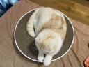pidan猫抓板 高密度瓦楞纸抓板猫玩具猫窝 山谷款 晒单实拍图