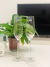 肖特圣维莎德国进口无铅水晶香槟酒杯 汽泡酒杯 香槟杯 肖特圣维莎 FORTISSIMO系列 240ml 2只 实拍图