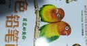 艺泽美术系列：彩色铅笔画 萌宠动物绘 实拍图