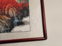 迅典国画山水画鸿运当头挂画客厅装饰画办公室字画风水画沙发背景墙画 O款【鸿运当头】 【推荐】实木带框203*83CM(有机玻璃） 实拍图