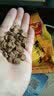 易记茶业易记茶叶黄金牛蒡茶500g礼盒装新鲜干片牛蒡茶产地直销养生茶 实拍图