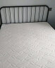 L&S 床铁艺床欧式铁架床时尚双人床简约卧室出租房宿舍龙骨床架 YC09 1.5*2米床+ 20CM弹簧床垫 实拍图
