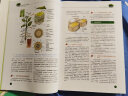 植物生理学（第五版）（中译本） 实拍图