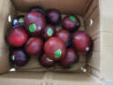 京鲜生 国产黑布林李子 1.5kg装 单果50g 新鲜水果 晒单实拍图