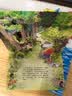 我的被子是大海做的 乐乐趣 3-6岁儿童想象力绘本 幼儿园故事书  实拍图