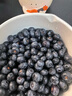 山姆大叔云南L25花香蓝莓【顺丰闪送-次日达多地】蓝莓水果礼盒新鲜送礼 【金奖】特级果（单果16-18mm） 8盒装【蕞划算-全网比价】100g/盒 实拍图