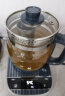 小熊（Bear）养生壶 煮茶壶 316L不锈钢恒温壶花茶壶 办公家用保温电热水壶1.5L大容量YSH-M15K6 可拆卸茶篮 实拍图