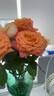 京东鲜花 云南单头玫瑰 橙色系【自由精灵】火灵鸟 5枝 实拍图