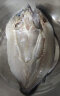 仙泉湖三去白蕉海鲈鱼1kg*1条净膛冷冻刺少肉厚地标海鲜水产 实拍图