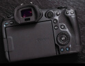 佳能（Canon） EOS R5 微单相机旗舰型高端全画幅专业微单机身视频直播高清数码照相机 【EOS R5】单机身旅行版 晒单实拍图
