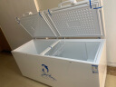 澳柯玛（AUCMA）商用大容量卧式冰柜 冷藏冷冻转换双门顶开冰柜 保鲜茶叶柜单温大冷柜 737升BC/BD-737TC(NE) 实拍图