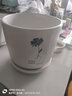 裕轩堂白色新款陶瓷盆室内简约个性带托盘绿萝吊兰花盆家用室内阳台多肉 67351 中等14厘米左右 实拍图