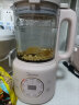美的（Midea）小型破壁机 豆浆机1-2人食家用全自动免煮辅食机多功能榨汁机智能一键清洗预约功能DJ12B-B40D87 实拍图
