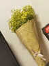 爱满（AIMAN） 鲜花真花天然满天星花束真花客厅家居装饰店面摆设小清新风花束 黄色满天星 含报纸+丝带 实拍图