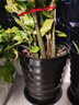 憶芗螺纹型花盆加大黑色盆景果树大型植物落地高筒加厚仿陶瓷塑料花盆 螺纹盆黑色小号 1个 实拍图