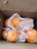 果果牛麻阳椪柑 桔子柑橘当季新鲜水果高山酸甜整箱 可选 带箱2斤试吃装 实拍图