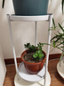 好铁匠 北欧客厅花架ins花架子简约绿萝落地式轻奢多层室内花盆架多肉架 1185白色小号直径25*高50 实拍图