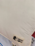迪士尼（Disney）枕头颈椎枕成人睡觉专用软护开学生宿舍深度睡眠低午睡抱靠A类抗菌72*46cm一对拍2婴儿童酒店中高枕头 枕套+枕芯一体无荞麦乳胶羽绒矮整头枕心 实拍图