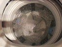 净安洗衣机清洗剂 除菌液480g波轮滚筒洗衣机槽清洁剂除垢杀菌99.9% 实拍图