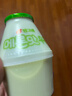 宾格瑞 哈密瓜牛奶238ml 实拍图