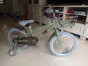 凤凰（Phoenix）儿童自行车3-6-10岁男女小孩英伦风脚踏车公主款宝宝单车复古童车 苹果绿 【都市宝贝】 16寸【身高105-140cm】 实拍图