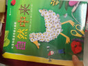自然中来：德国孩子创意美学手工系列（精装）一本激发创造力与想象力的自然美学创意手工宝典 实拍图