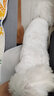 昙蓓漫猫咪衣服防掉毛夏季猫咪狗狗衣服宠物衣服幼猫中小型犬春秋衣服 粉色熊熊头(L码建议6-8斤) 【猫狗通用/透气舒适】 实拍图