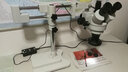 凤凰（phenix)三目体视显微镜双杆万向支架专业医学用解剖镜连续变倍 手机维修 珠宝鉴定 工业检测 特配：医学解剖练习（3.5-45倍）含税 实拍图