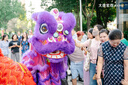 元族澳洲羊毛佛山醒狮南狮国标3号竹编羊毛道具成人双人套装 佛装双人舞狮全套（黄色） 实拍图