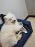 华元宠具（hoopet）狗垫子狗窝狗狗睡垫床金毛中大型犬冬天宠物沙发耐咬冬季防潮保暖 【升级长绒】兔绒绿两面靠割条 2XL-(建议70斤内) 实拍图