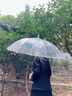 长弯柄半自动透明伞360度全景透明雨伞男女生网红直杆简约防风伞 白色直柄（1米直径）透明边 16骨 实拍图