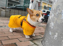 SLPC狗狗雨衣中型犬柯基雨衣泰迪小狗雨衣防水博美雪纳瑞法斗大狗雨披 黄色 4XL（适合28到35斤左右） 实拍图