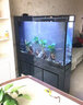 江彩鱼缸客厅大型水族箱落地隔断墙家用办公室底过滤超白玻璃鱼缸定制 0.8米普高（80x30x145cm） 实拍图