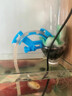 LISM鱼缸水族箱换水管固定夹子水管架 抽水管固定器玻璃缸夹抽水支架 水管固定夹 实拍图