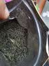 煜树小叶苦丁茶毛冬青茶嫩芽云南毛冬青毛冬青新货 小叶苦丁250g 实拍图