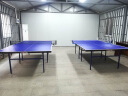 红双喜（DHS）乒乓球桌T3326室内乒乓球台训练比赛用乒乓球案子 实拍图
