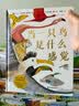 当一只鸟是什么感觉 6岁以上 动物行为观鸟 鸟类小百科 科普图书 浪花朵朵正版 晒单实拍图