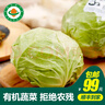小汤山 有机圆白菜 约600g 有机蔬菜基地种植当天采摘 实拍图