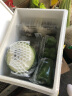 京百味河北平菇 450g 简装 新鲜蔬菜 实拍图