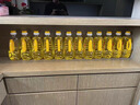 吾堂吾器 液体酥油植物酥油灯灯油供灯灯油供灯油供灯长明灯专用 台湾2.0L酥油（黄） 液体酥油 实拍图